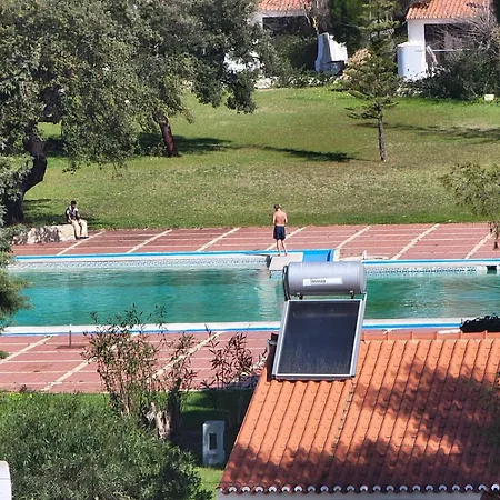 Daire Newly Remodeled 2bd Brilliant Oura Strip 9min Albufeira