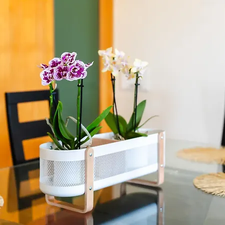 Newly Remodeled 2bd Brilliant Oura Strip 9min * Албуфейра